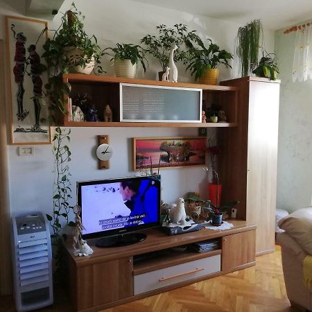 Cuore Di Umago Kültér fotó
