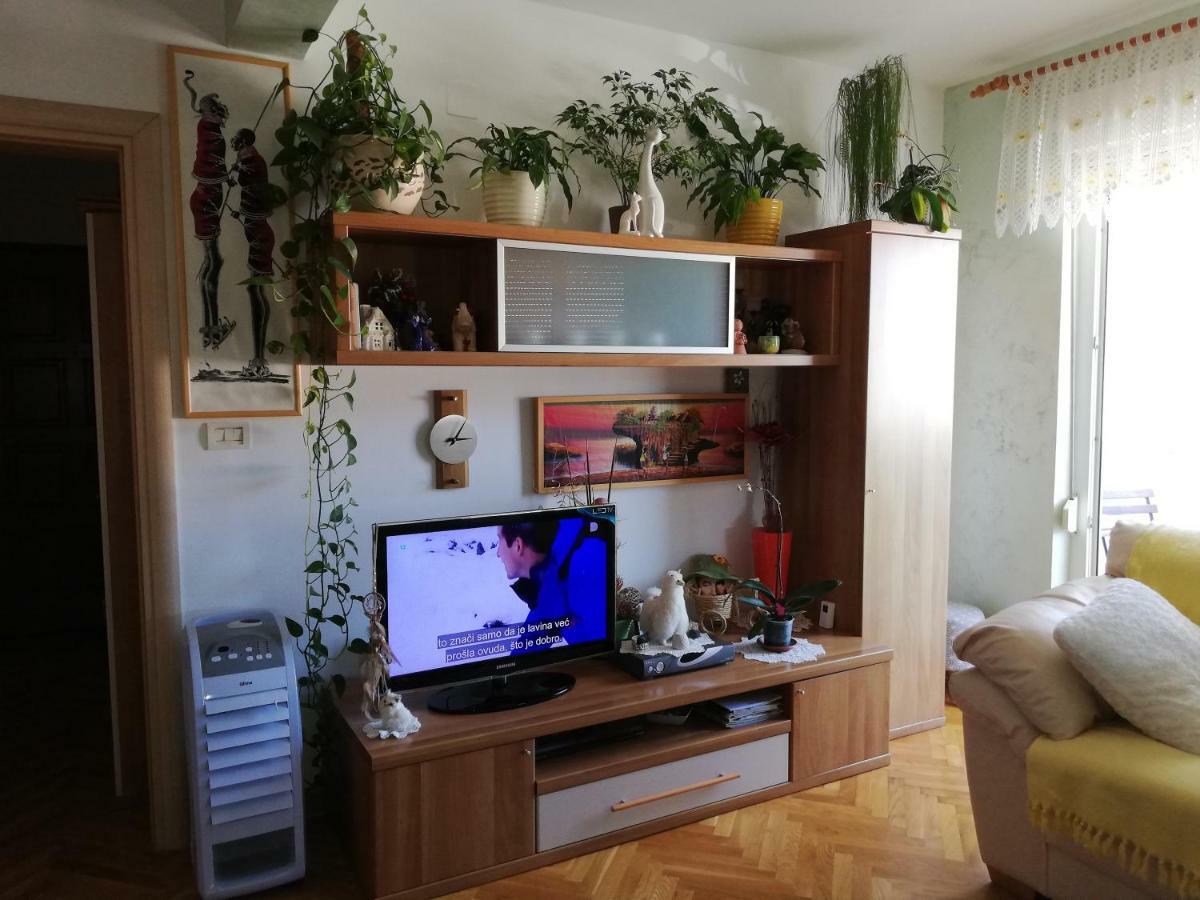 Cuore Di Umago Kültér fotó